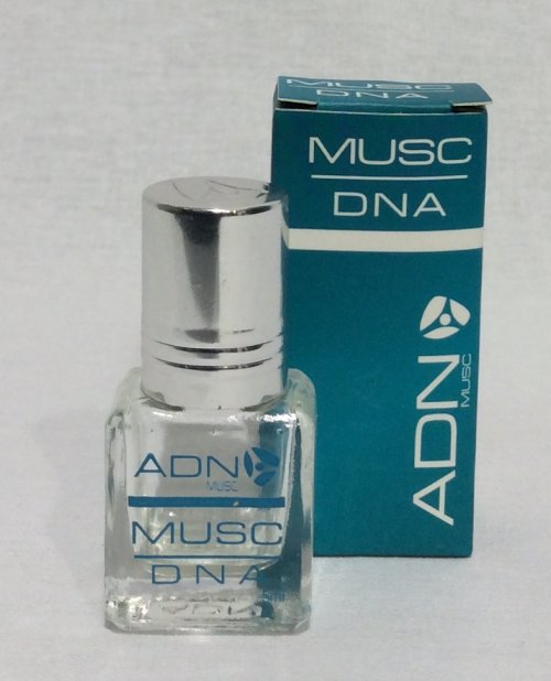 ADN : DNA