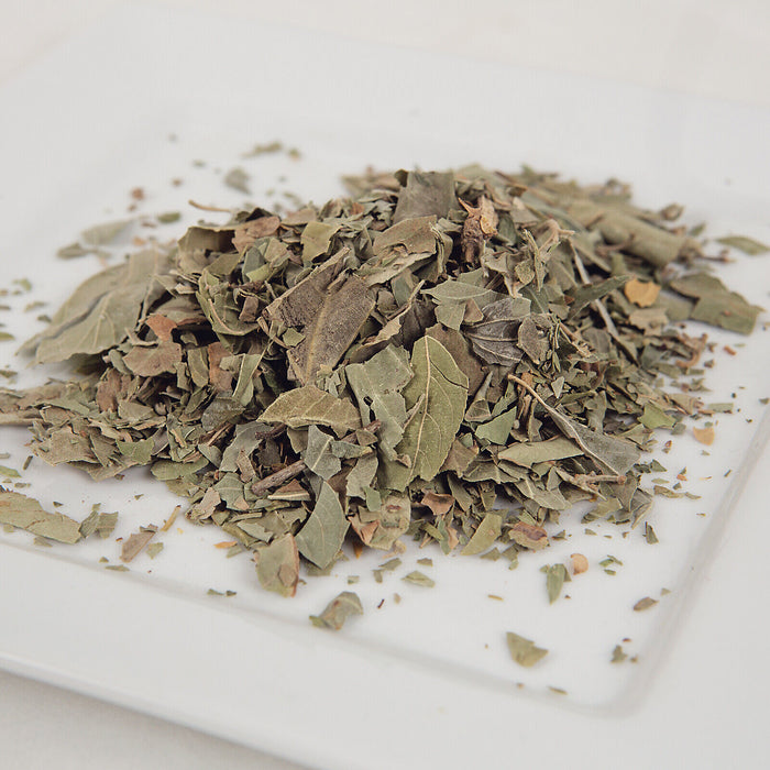 Organic Sidr Leaves (Palestine)