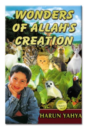 Wonders of Allahs Creation