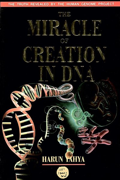 The miracle of creation in DNA