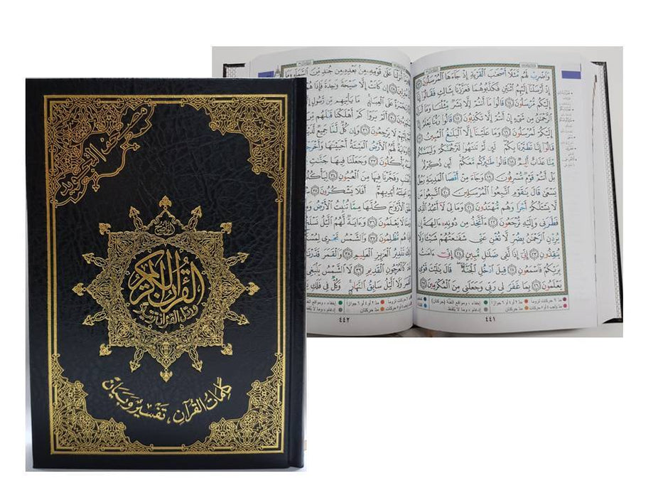 Tajweed Al Quran : Arabic (17x24) - Large (Plain Cover)