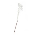 Incense stick saysell: White Musk