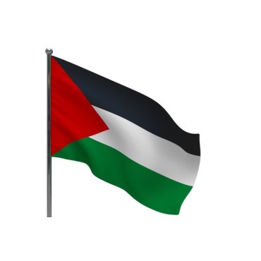 Palestine Flag - (Small) 20x13