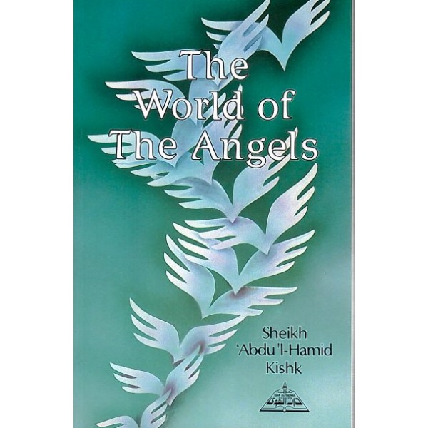 The World of The Angels