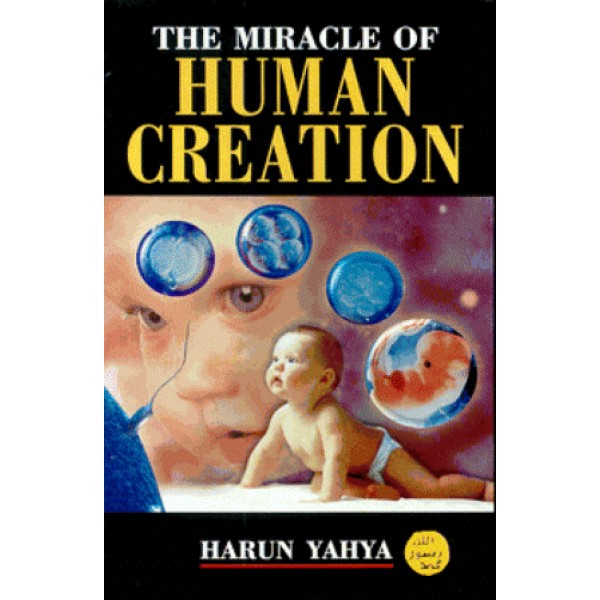The miracle of human creation