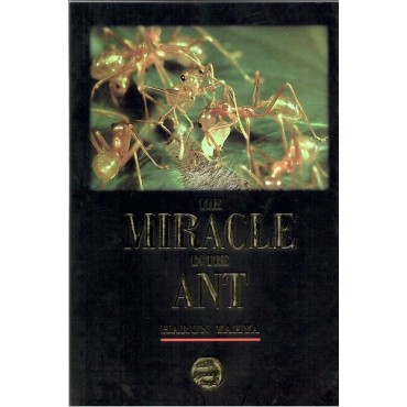 The Miracle In The Ant (P/B)