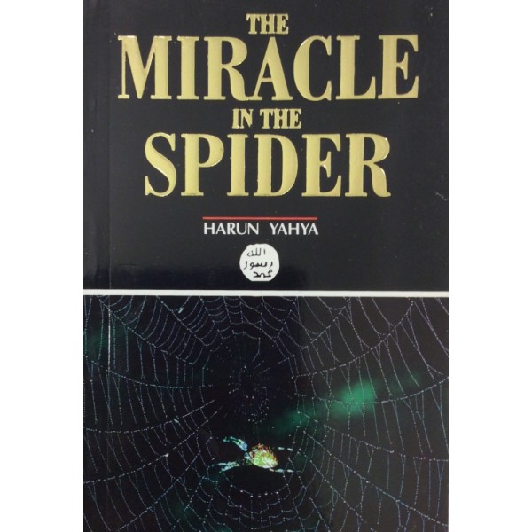 The miracle in the spider